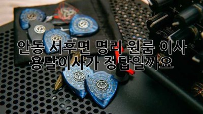 안동 서후면 명리 원룸 이사, 용달이사가 정답일까요?